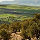 Spettacolare veduta delle fertili valli della città di Moulay Idriss nella provincia di Meknes in Marocco