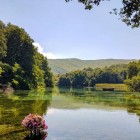 Bellissimo dettaglio della natura del parco e del lago di Ocride del monastero di Sveti Naum in Macedonia del Nord