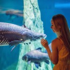 Dettagli visti dal tunnel dell'acquario di Port Vel di Barcellona della flora marina